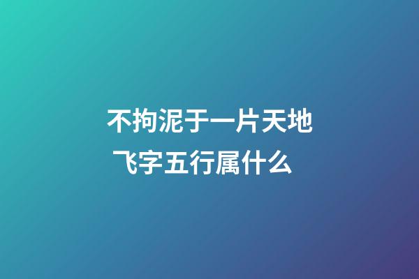 不拘泥于一片天地 飞字五行属什么